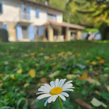 Villa Bricco 6br, Luxury Countryside Retreat Santo Stefano Belbo